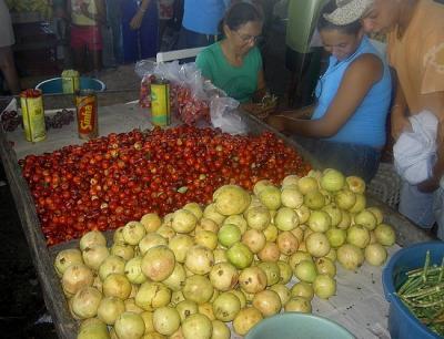 Vente de fruits de la passion et d'acerola sur un marché dans le Nordeste brésilien. © P. Dugué, Cirad